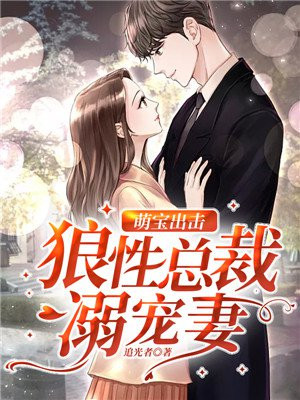 萌宝出击总裁追妻路漫漫小说