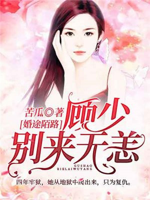 婚途陌路冷少来试爱免费阅读