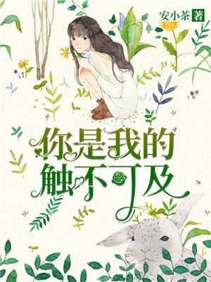 你是我的触不可及 小说