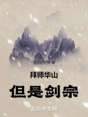 拜师华山,但是剑宗起点