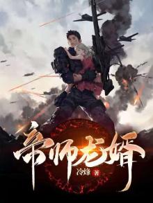 帝师龙婿电视剧免费观看