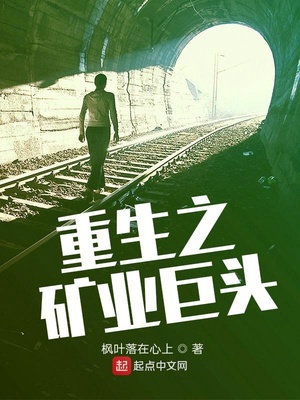 重生之矿业巨头作者:枫叶落在心上