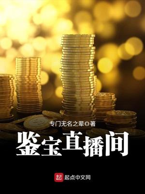 鉴宝直播间 小说