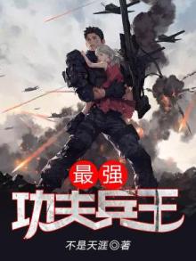 最强功夫兵王 小说