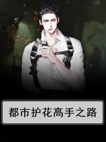 都市护花高手之路