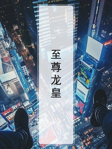 至尊龙皇陆鸣全集免费阅读