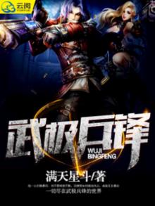 武极兵锋全集