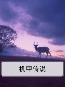 机甲传说芯片自选箱选哪个部位