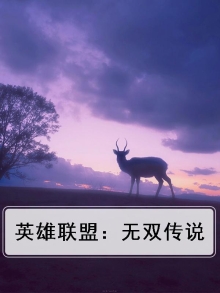 英雄联盟：无双传说
