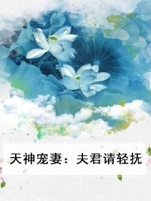 天神宠妻：夫君请轻抚