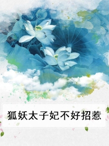 狐妖太子妃不好招惹小说