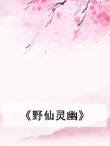 野仙儿小说