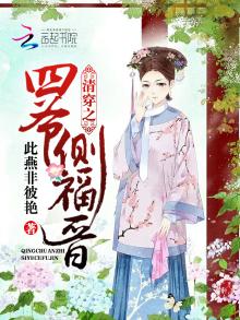 清穿之四爷侧福晋 小说