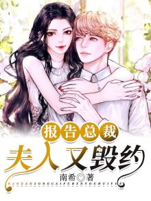 报告总裁,夫人出走了 南桔