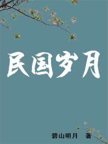 民国岁月1913小说