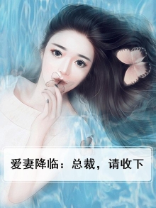 总裁爱妻如命免费阅读