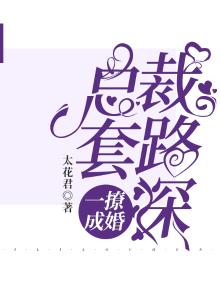 总裁撩一送二大结局