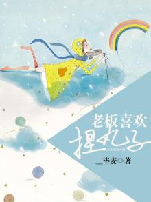 木丸子老板