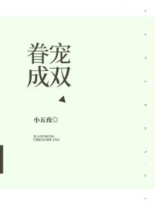 眷眷小说