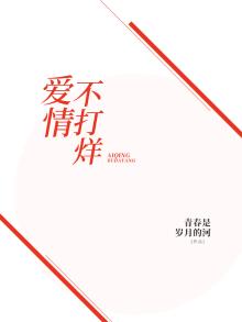 爱情不打烊剧情分集介绍