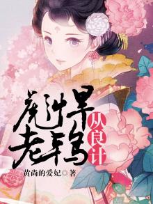 穿成老鸨 从良