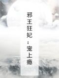 邪王狂妃:宠上瘾小说