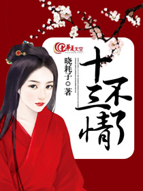 十三不了情
