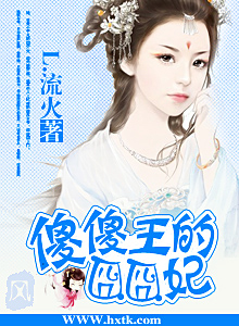 傻王的王妃