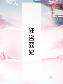 狂盗囧妃