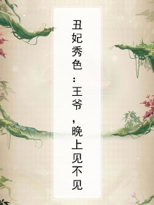 王爷丑妃很倾城