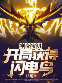 神奇宝贝:开局获得闪电鸟非道