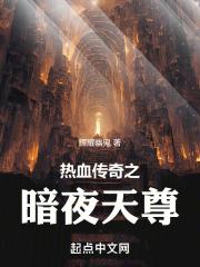 热血传奇天尊项链属性
