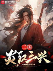 三兴汉室的三国小说