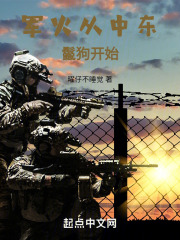 主角在国际卖军火小说