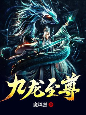 九龙至尊小说完整版