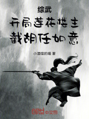 综武开局邀月
