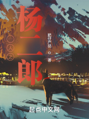 一人之杨二郎最新章节内容