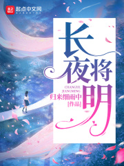 长夜将明 电视剧