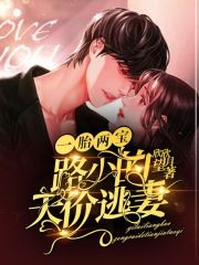 一胎两宝,天价小娇妻