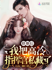 联姻后,我把高冷指挥官私藏了江山一