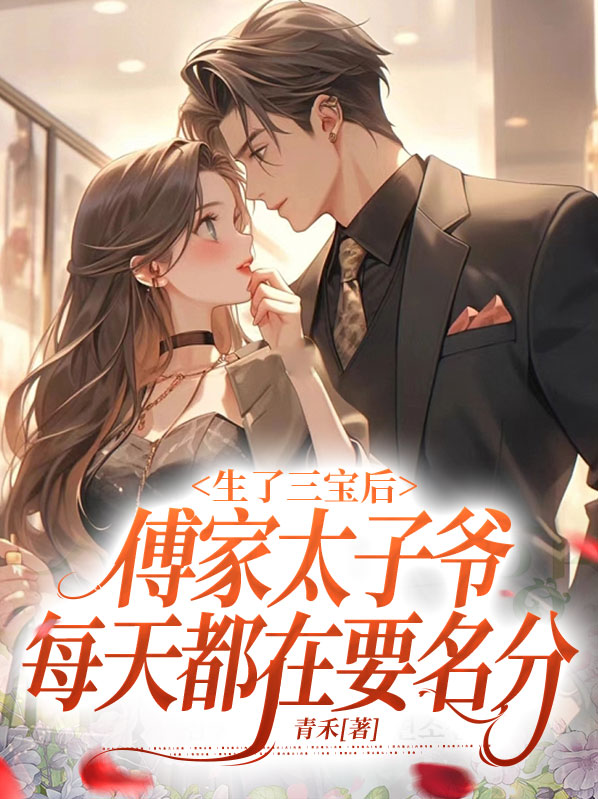 一胎三宝傅少
