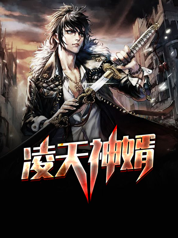 凌天神帝境界