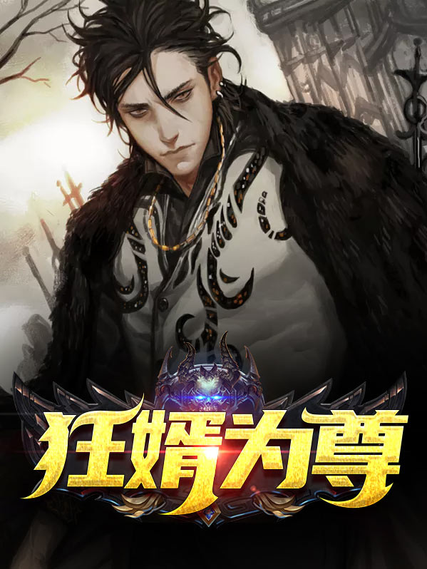 狂婿全文阅读