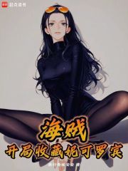 海贼:开局单抽出奇迹