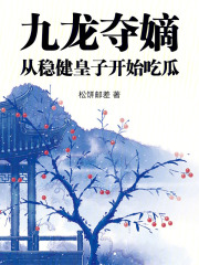 九龙夺嫡穿越小说