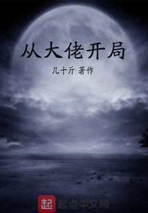从大佬开局 小说