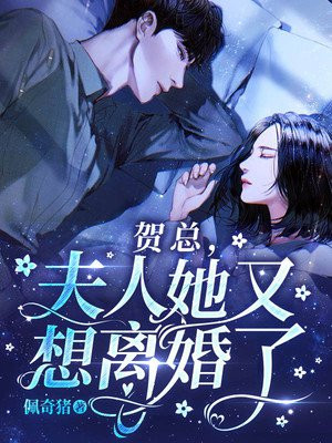 贺总,夫人她又想离婚了免费阅读