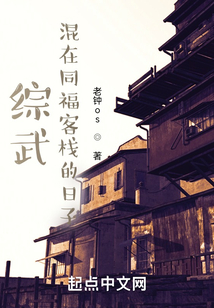 综武混在同福客栈的日子TXT下载