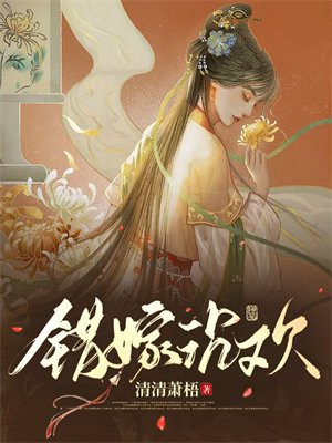 错嫁沉欢讲的什么