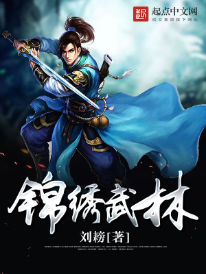 锦绣武林 小说